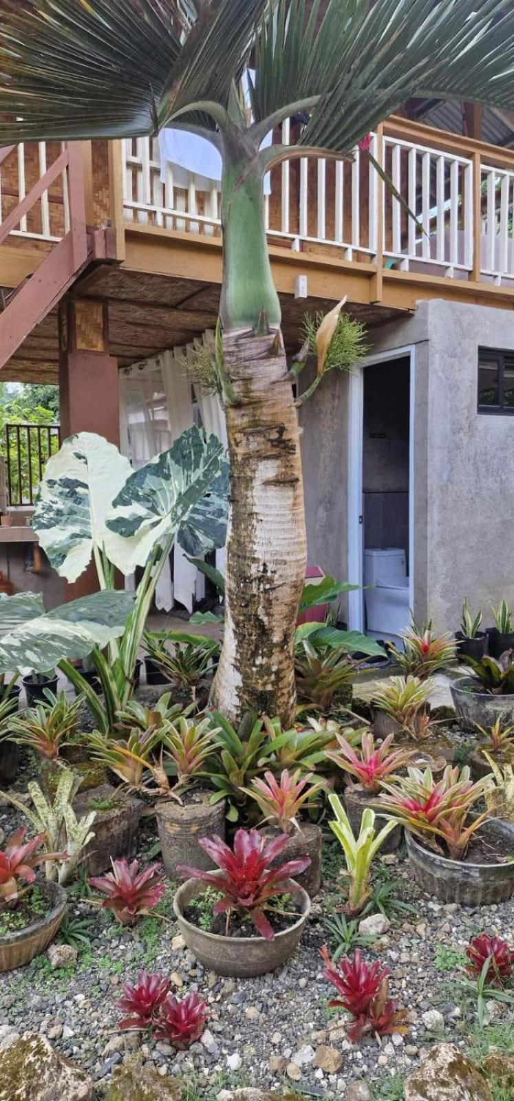 Khloe Serenity Guest House Batuan ภายนอก รูปภาพ